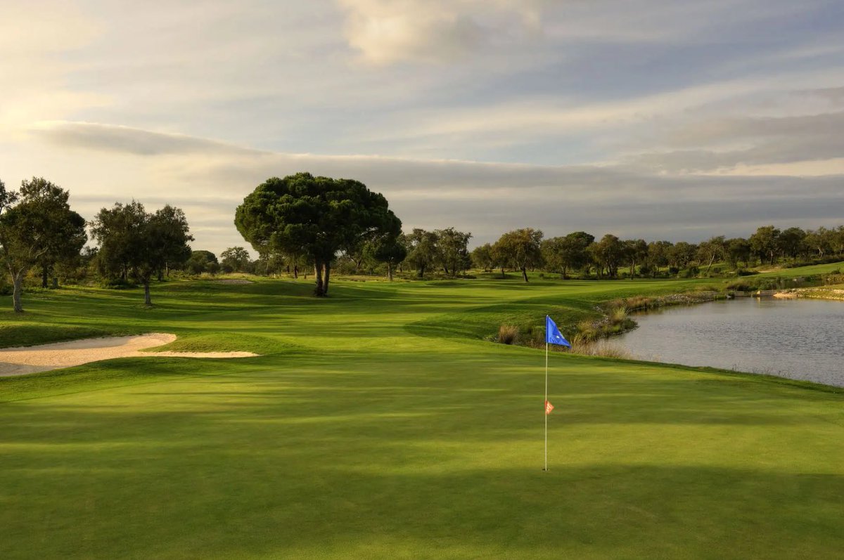 golfers_reviews's tweet photo. Golf review - 🇵🇹 Ribagolfe Lakes

Tags: #golf #golfing #golfcourse #golfballs #golfingworld #golfcoach #golfgame #golfmemories #ribagolfeLakes #peterTownsend #golfPortugal #golfEurope

Played it? Rate it! https://t.co/Rh8TuS3oRt https://t.co/pyy6BAYpau