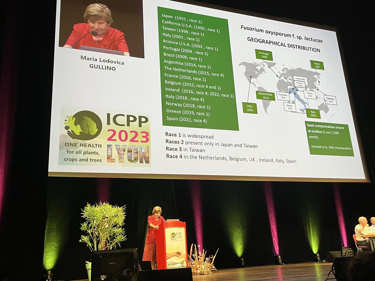 Lodoviica Guillino keynote opens session on Invasive and Emerging Diseases <a href="/icpp2023/">ICPP2023</a> .  Rapid cycling of leafy greens presents challenges for disease control. #ICPP2023 #FoodSecurity
