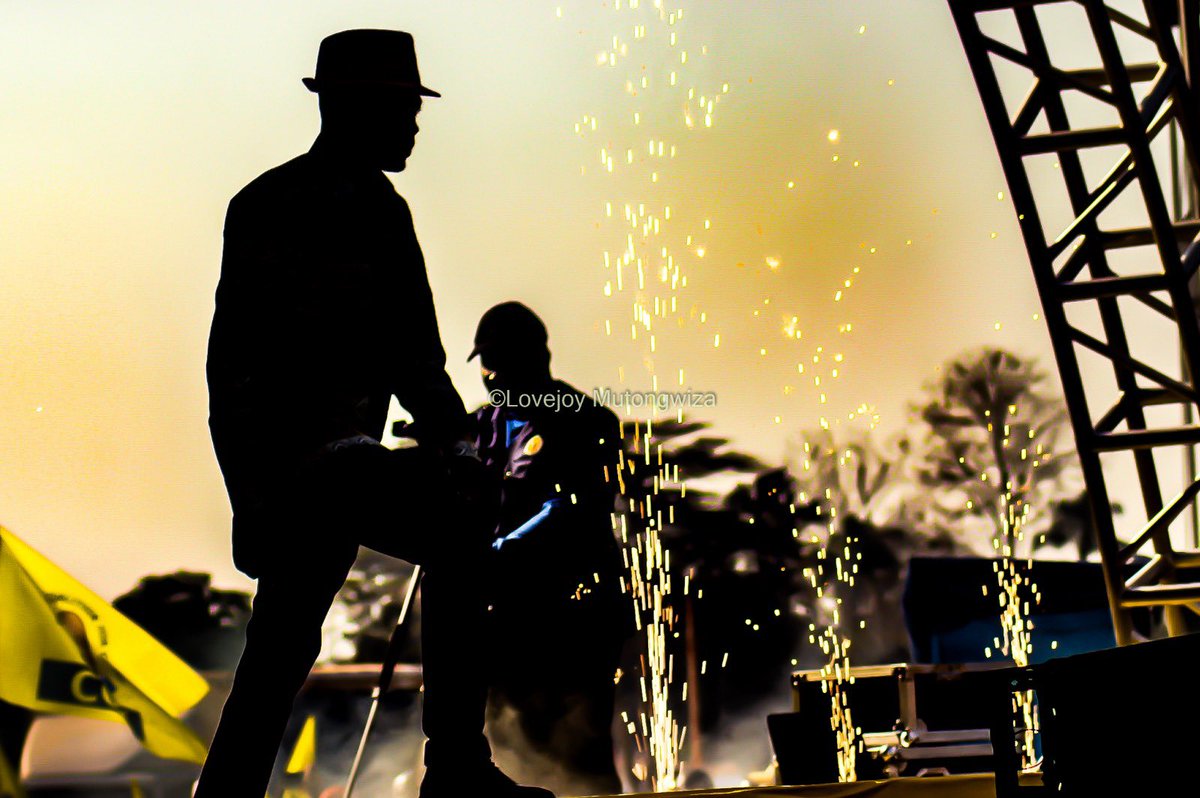 advocatemahere's tweet image. 🟡How many likes? #GameOver🇿🇼