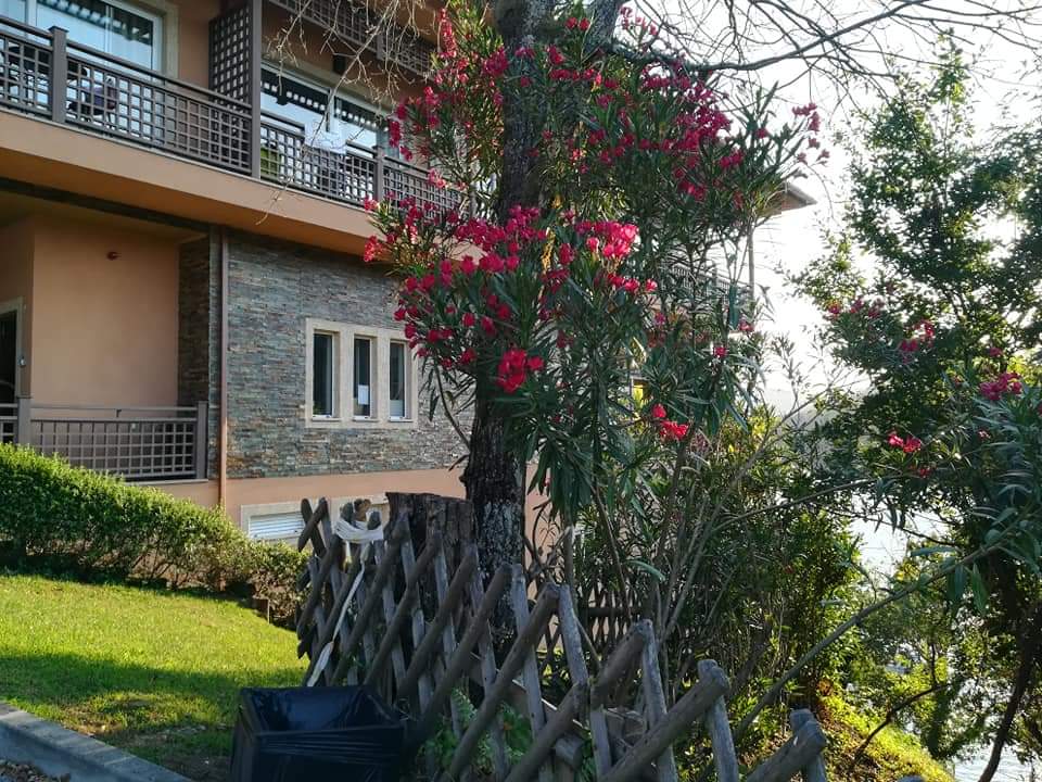 skymanuelima's tweet photo. Em Conchada, nas margens do Rio Mondego, a jusante da barragem da Aguieira, encontra-se este simpático hotel e spa cujo restaurante e a respectiva esplanada possui 1 vista fantástica. #Conchada #RioMondego #Aguieira #Hotel #Restaurante #travelphotography #viagens #FotógrafoAmador https://t.co/kJE6xhqbZD