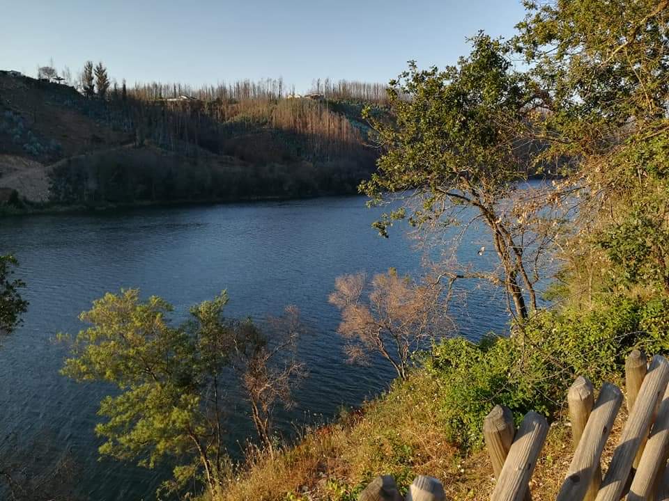 skymanuelima's tweet photo. Em Conchada, nas margens do Rio Mondego, a jusante da barragem da Aguieira, encontra-se este simpático hotel e spa cujo restaurante e a respectiva esplanada possui 1 vista fantástica. #Conchada #RioMondego #Aguieira #Hotel #Restaurante #travelphotography #viagens #FotógrafoAmador https://t.co/kJE6xhqbZD