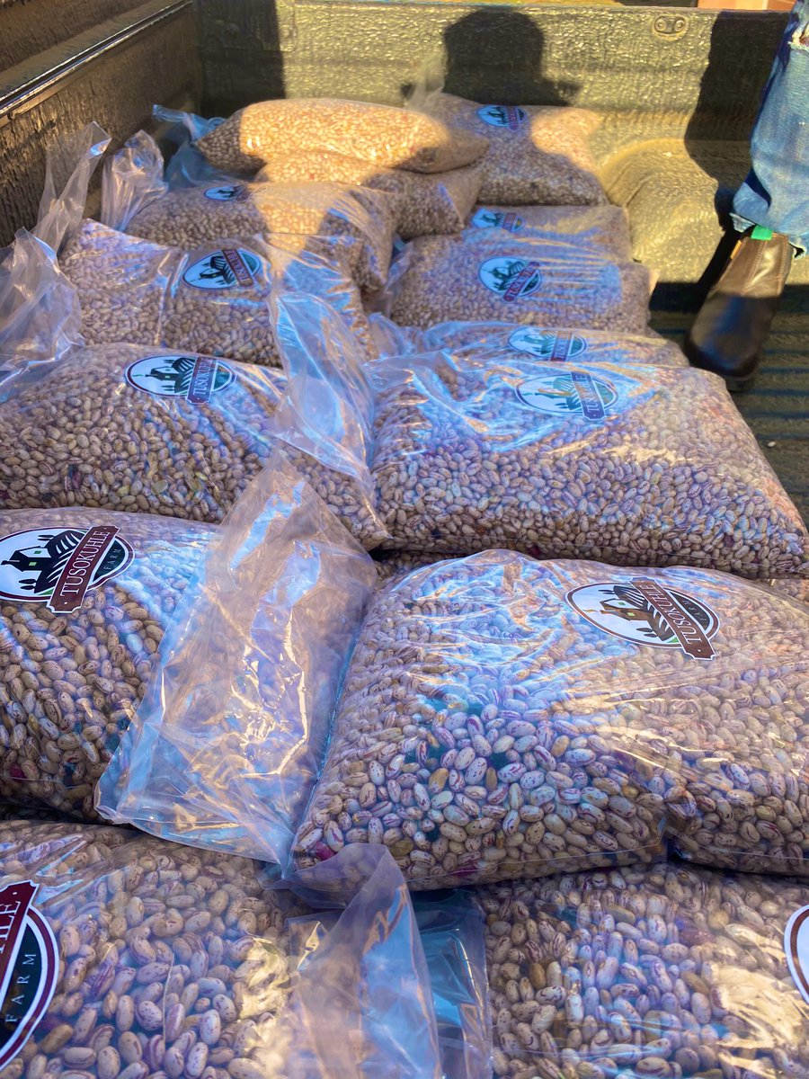startfarmingnow's tweet photo. List of common #beans types available in South Africa:

1. Sugar Beans (Phaseolus vulgaris)
2. Kidney Beans
3. Lima Beans (Butter Beans)
4. Black-eyed Peas (Cowpea)
5. Mung Beans
6. Cannellini Beans

Add other types please #farming #FarmLife #agriculture Photo @asngcobo https://t.co/W6G0XnCbJV