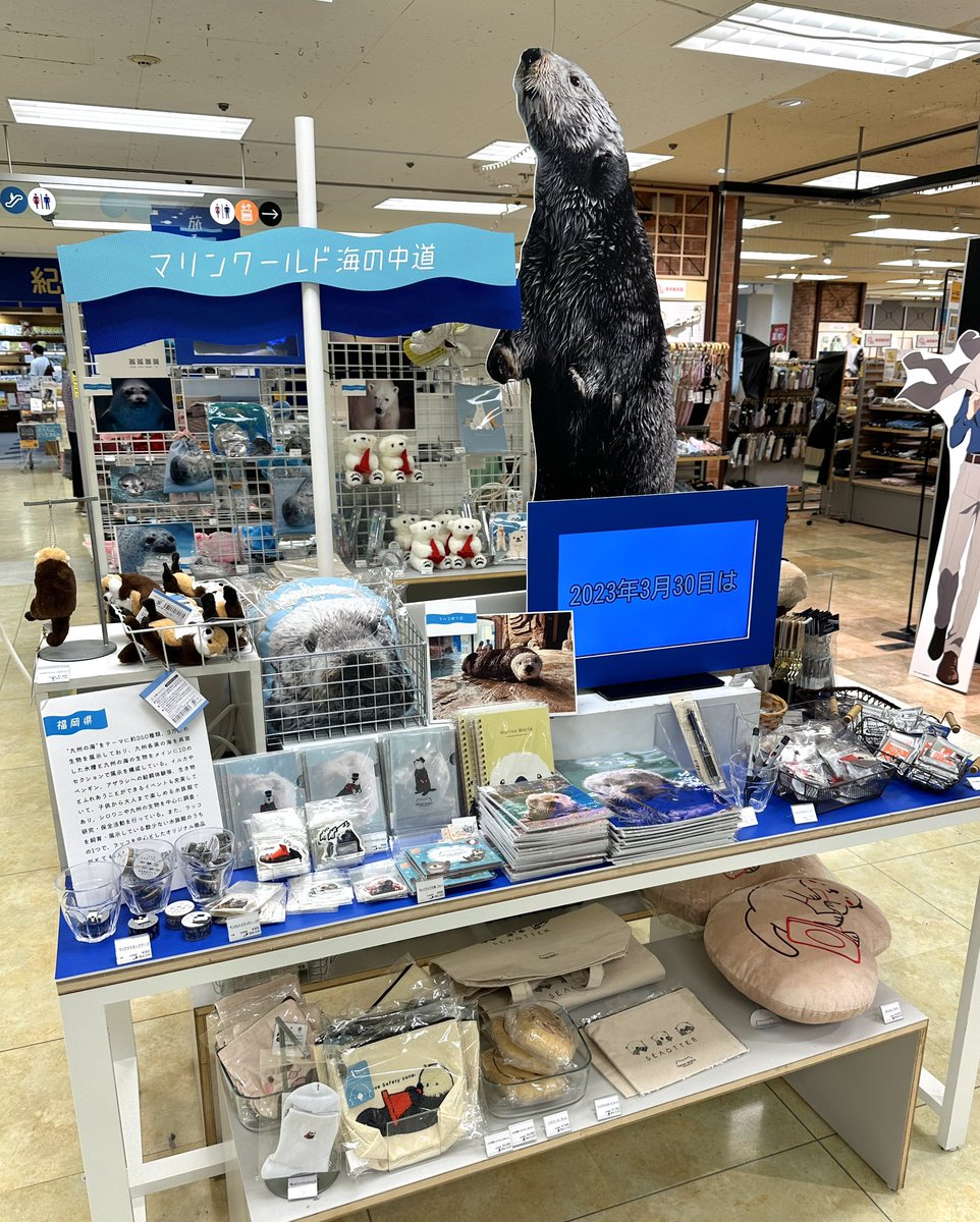 横浜ロフト on X: 