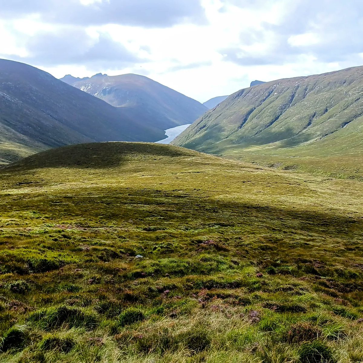 drugelius's tweet photo. The Brandy Pad, the heart of the Mournes 🤎⛰️ One of the favourite hikes through the mountains that charmed me from the day one.
#NorthernIreland #brandypad
#smugglersroute #hikingireland
#hikingadventures #mountains
#hikingphotography #mournes https://t.co/4paI62UVEB