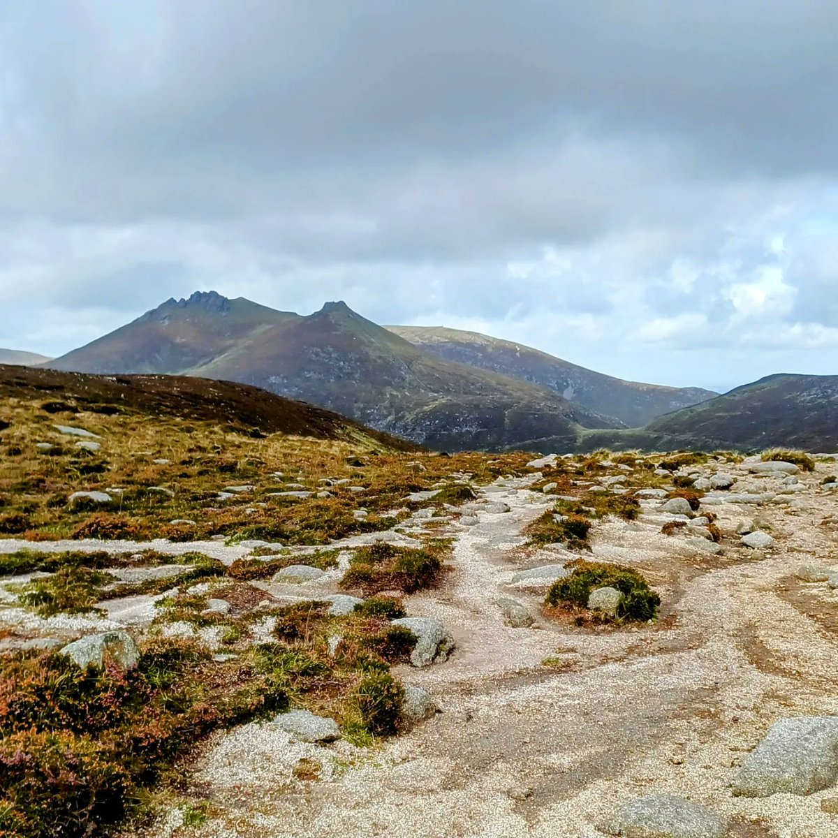 drugelius's tweet photo. The Brandy Pad, the heart of the Mournes 🤎⛰️ One of the favourite hikes through the mountains that charmed me from the day one.
#NorthernIreland #brandypad
#smugglersroute #hikingireland
#hikingadventures #mountains
#hikingphotography #mournes https://t.co/4paI62UVEB
