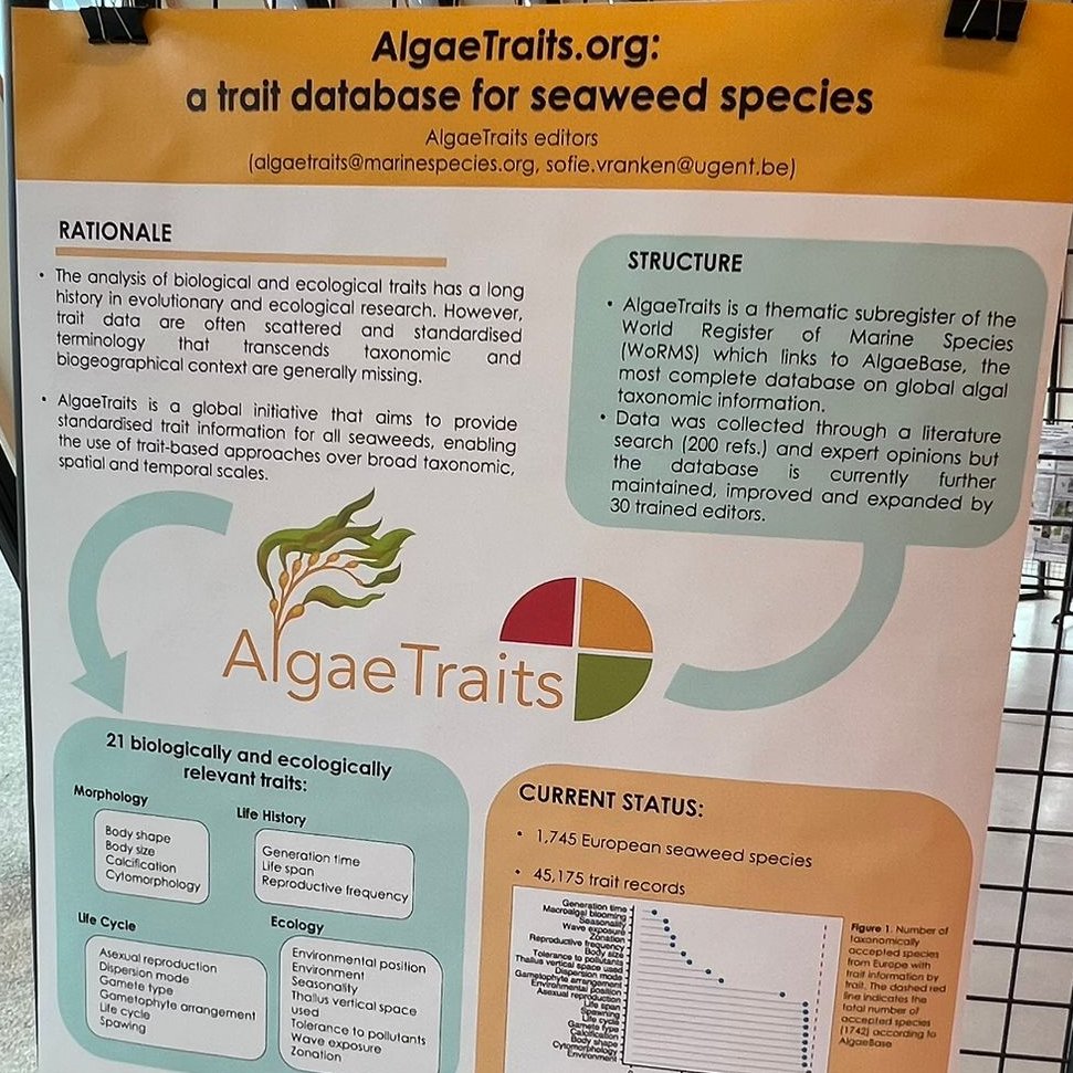 Sofie Vranken (@vranken_sofie) on Twitter photo Interested in #seaweed #traits? 👉Come and check out our #AlgaeTraits poster at #EPC8 (PO1_B)! I'm not present myself but <a href="/odclerck/">Olivier De Clerck</a> and <a href="/alginelll/">Line Le Gall</a> are available for more information! <a href="/PhycologyUgent/">Phycology Research Group Ugent</a> <a href="/WRMarineSpecies/">WoRMS</a> Interested in #seaweed #traits? 👉Come and check out our #AlgaeTraits poster at #EPC8 (PO1_B)! I'm not present myself but <a href="/odclerck/">Olivier De Clerck</a> and <a href="/alginelll/">Line Le Gall</a> are available for more information! <a href="/PhycologyUgent/">Phycology Research Group Ugent</a> <a href="/WRMarineSpecies/">WoRMS</a>