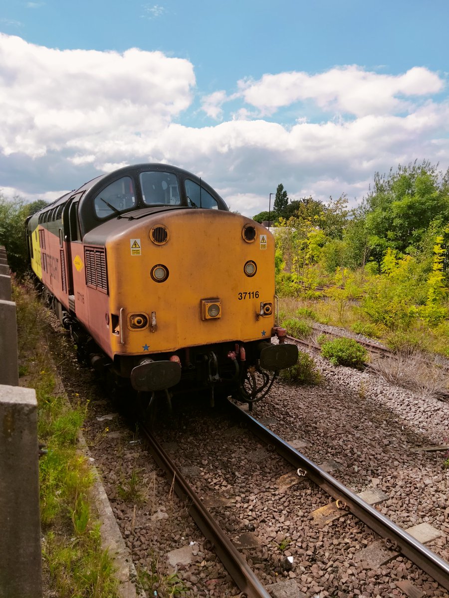 Harrod15S's tweet photo. Colas test train 37254 &amp; 37116 leaving Hatfield and Stainforth station yesterday afternoon 21/08/23
#class37 #trains #Colas  @TheGrowlerGroup #HatfieldandStainforth https://t.co/MVNjJovCCg