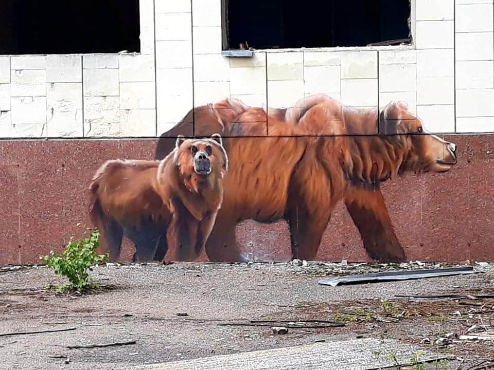 HotelInsonmia's tweet photo. @facebook me recuerda que hace 4 años escribí esto:

Con el despoblamiento #Chernobyl2019 y sus alrededores, aumentó la fauna en sus bosques. Para evitar que los lobos, ciervos y osos se contaminasen y propagaran enfermedades, se contrató a un grupo de liquidadores

#Ucrania2019 https://t.co/1GyfvRxvnx