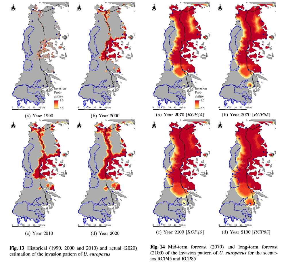 fmfoerster's tweet photo. OK - that took very long, but in the end we published our #ulex article in @BioInvasions: https://t.co/5NxVpZOeQl. It shows that just a combination of #MaxEnt and #CA gives a good distribution of #invasives. Thanks to @TSchmidt83, @FabianFassnach1, Anna Cord and Anne Clasen! https://t.co/yIh41kUYfr