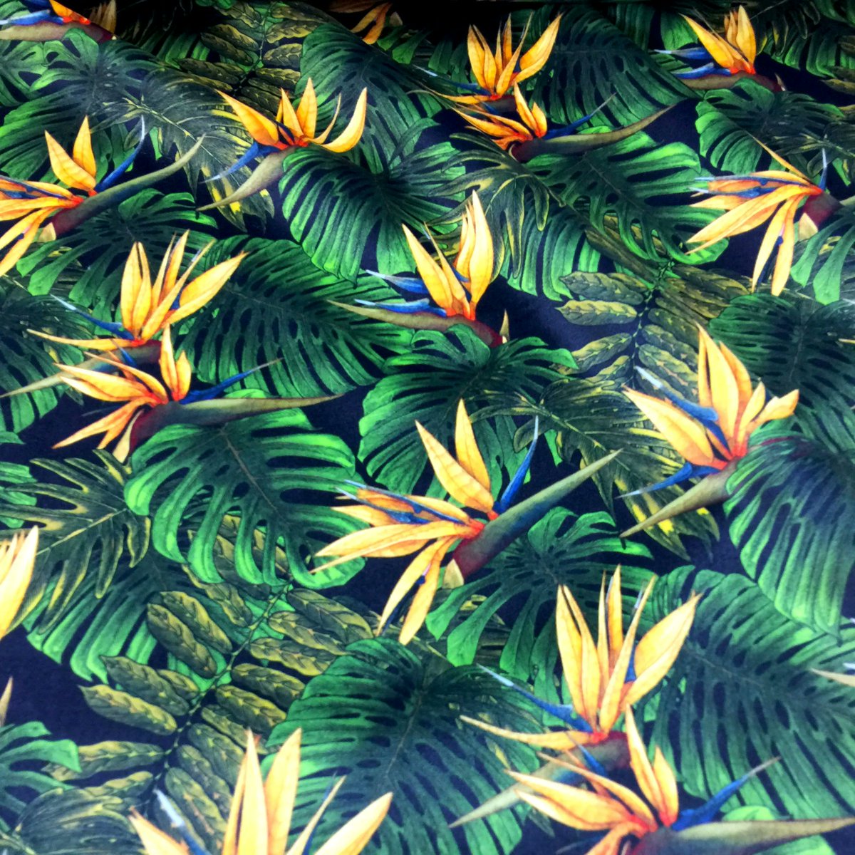 prinfab's tweet image. ⭐ The team absolutely love this colourful tropical print! The colours have printed really beautifully on our Soft Velvet 280gsm. Thank you Daniel for letting us share a photo. 🌴 

#tropicalprint #surfacepattern #textileprinter