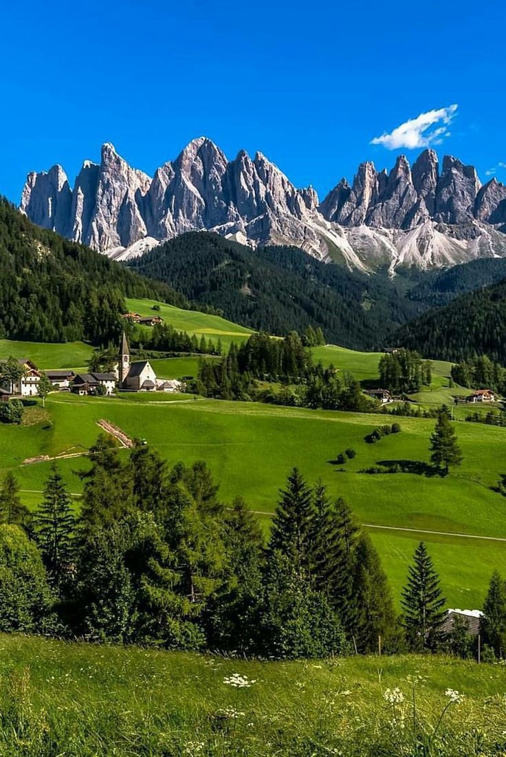 Aleksan52094351's tweet photo. Beautiful 🏔️💚 https://t.co/YtbLiMLVvJ