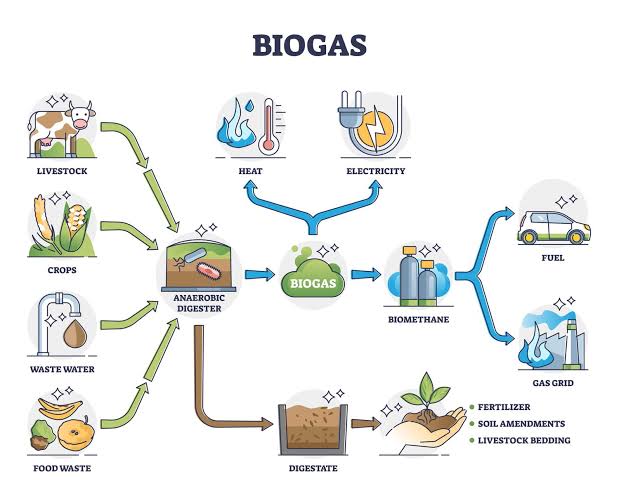 Do you know that 😳😳

Today there is around 18 GW of installed power generation capacity running on #biogas around the 🌏, most of which is in Germany, the United States and the United Kingdom. Capacity increased on average by 4% per year between 2010 and 2018.
<a href="/ClimateWed/">ICCDI AFRICA</a>