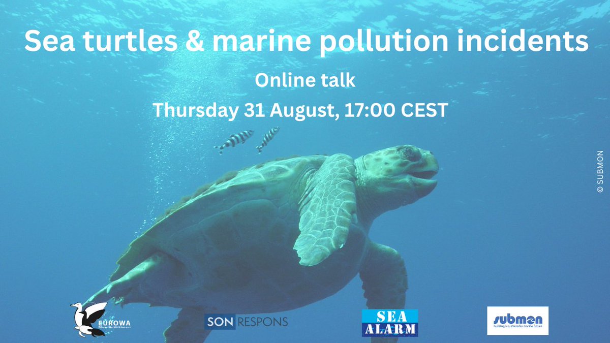 On 31 August we're hosting a webinar 'Sea turtles & marine pollution incidents' by Mariluz Parga of @submon_ Mariluz has ample experience as a vet & has contributed to the #EUROWA standards on oiled sea turtles. Register here: us02web.zoom.us/webinar/regist… #OiledWildlife