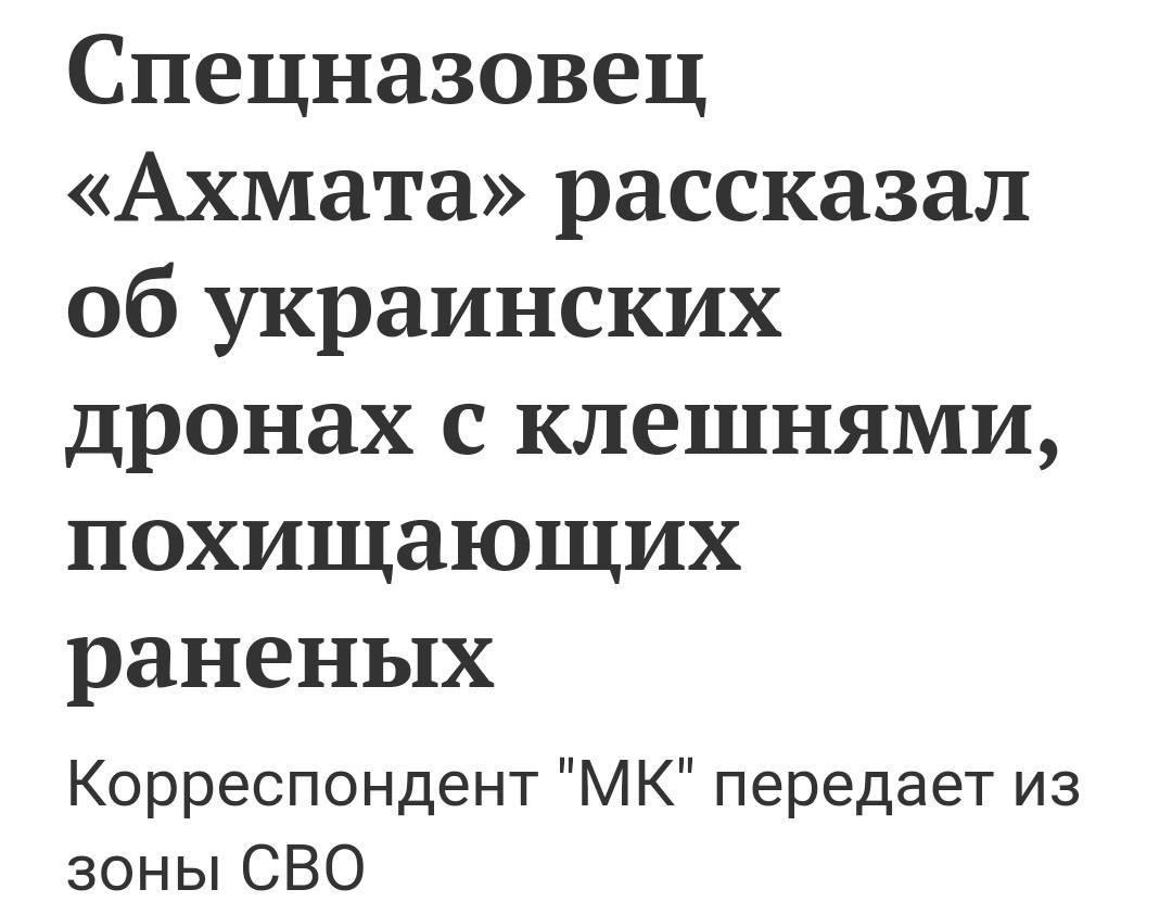 Max Kolesnikov tweet media