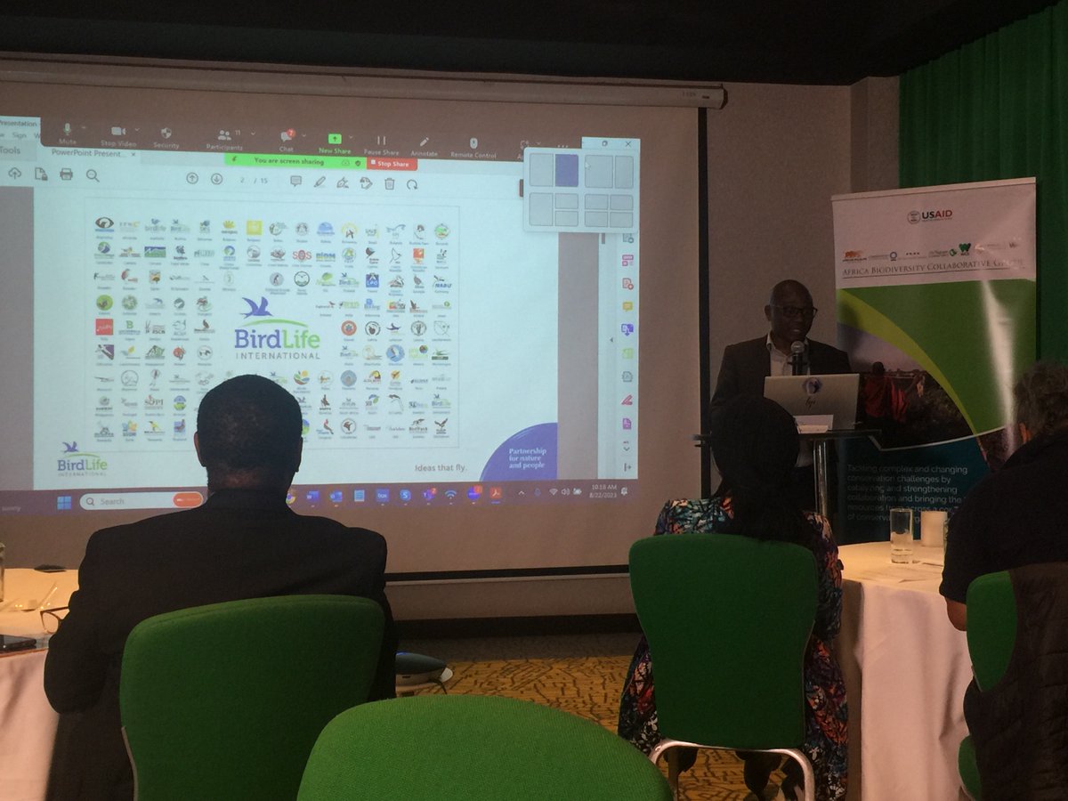 BirdLifeAfrica's tweet photo. @Ken_BirdLife  presents on  Tackling  #ClimateChange focusing on  key outcomes of  COP27 and looking ahead to COP28  at the inaugural media science cafe hosted by @MeshaScience and Regional Conservation Leaders @ABCGconserve

#conservationsciencecafe #ABCGScienceCafe https://t.co/51s6TuGMlj