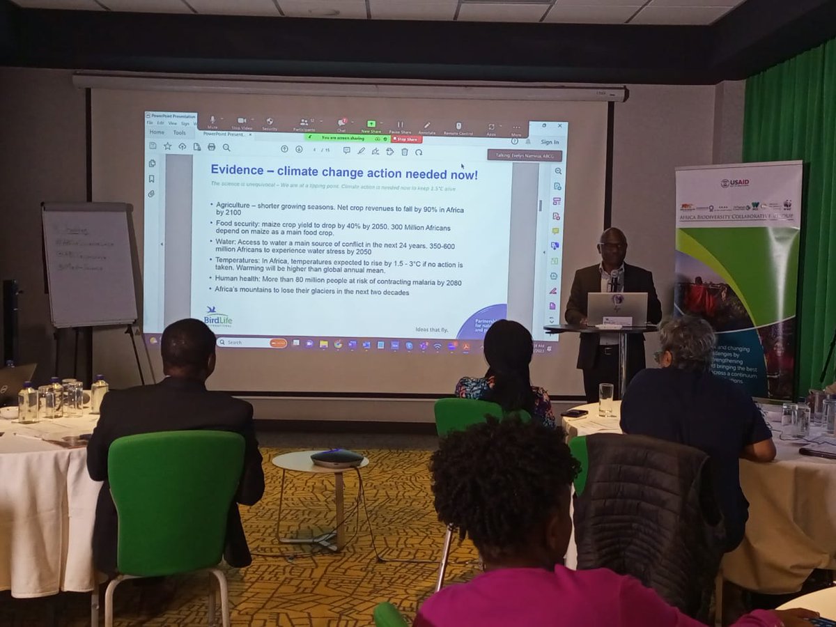 BirdLifeAfrica's tweet photo. @Ken_BirdLife  presents on  Tackling  #ClimateChange focusing on  key outcomes of  COP27 and looking ahead to COP28  at the inaugural media science cafe hosted by @MeshaScience and Regional Conservation Leaders @ABCGconserve

#conservationsciencecafe #ABCGScienceCafe https://t.co/51s6TuGMlj