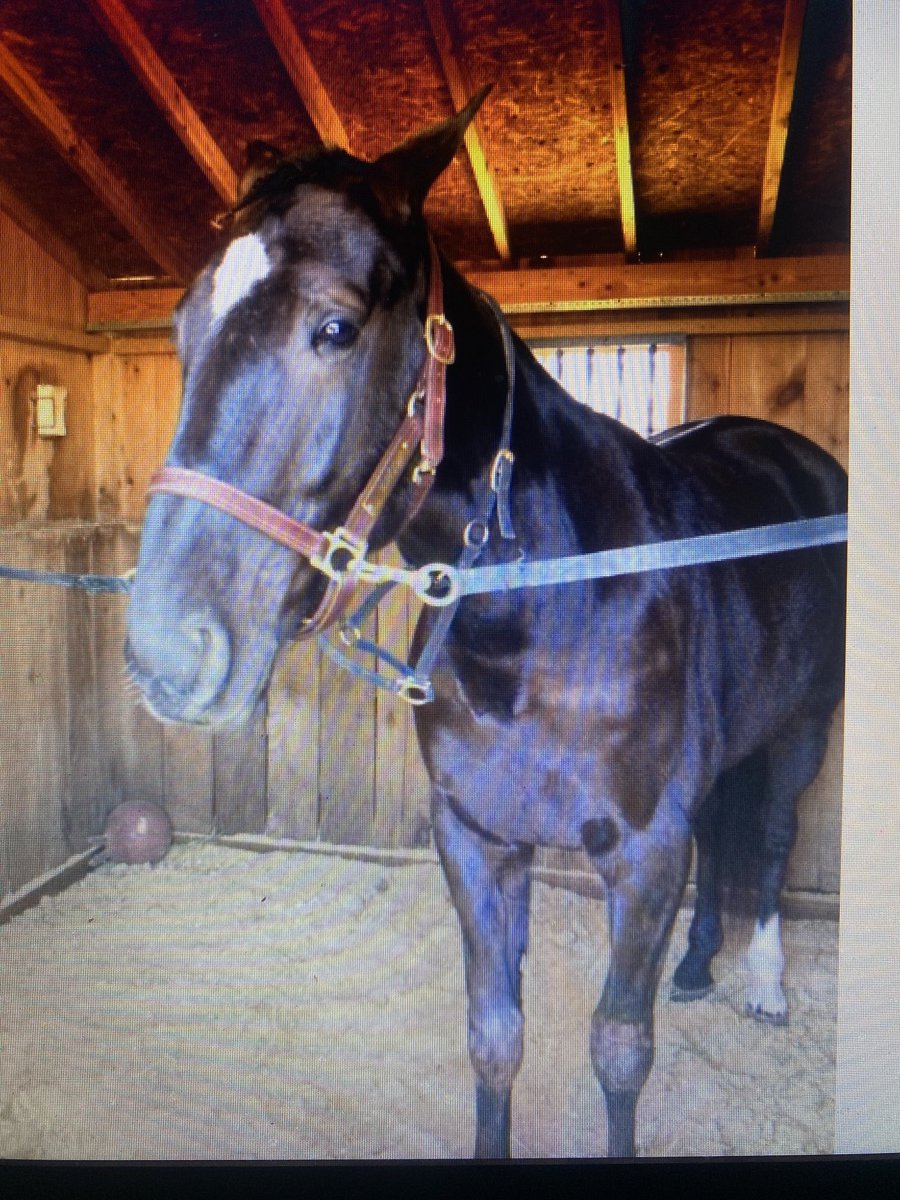 Undrar om jag inte tagit den sämsta bilden någonsin på Nuncio? 🤷🏼‍♀️😅 New Jersey vårvintern 2013.