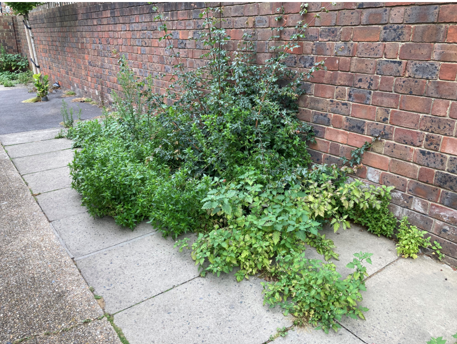 Marc Francis tweet media