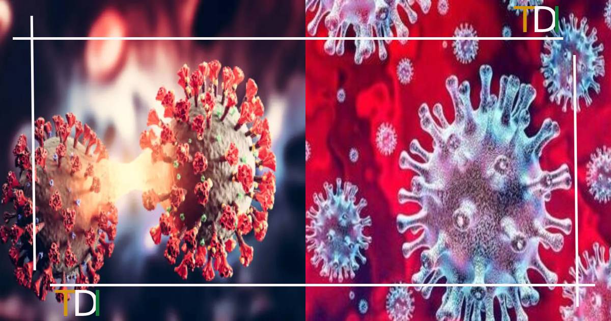 Unraveling the mysteries of Eris & BA 2.86 #COVID19 variants: Both hail from the Omicron lineage, yet their symptoms and transmissibility contrast sharply. Dive deeper to understand their distinct impacts on the pandemic. 🔍🦠 #VariantInsights #PandemicResearch #CovidUpdate