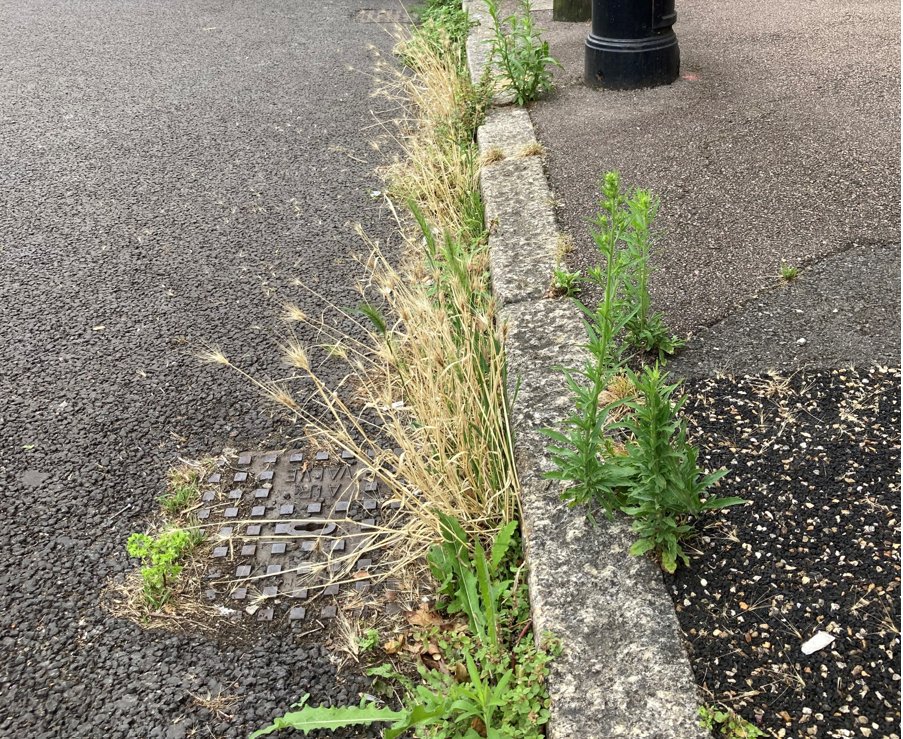 Marc Francis tweet media