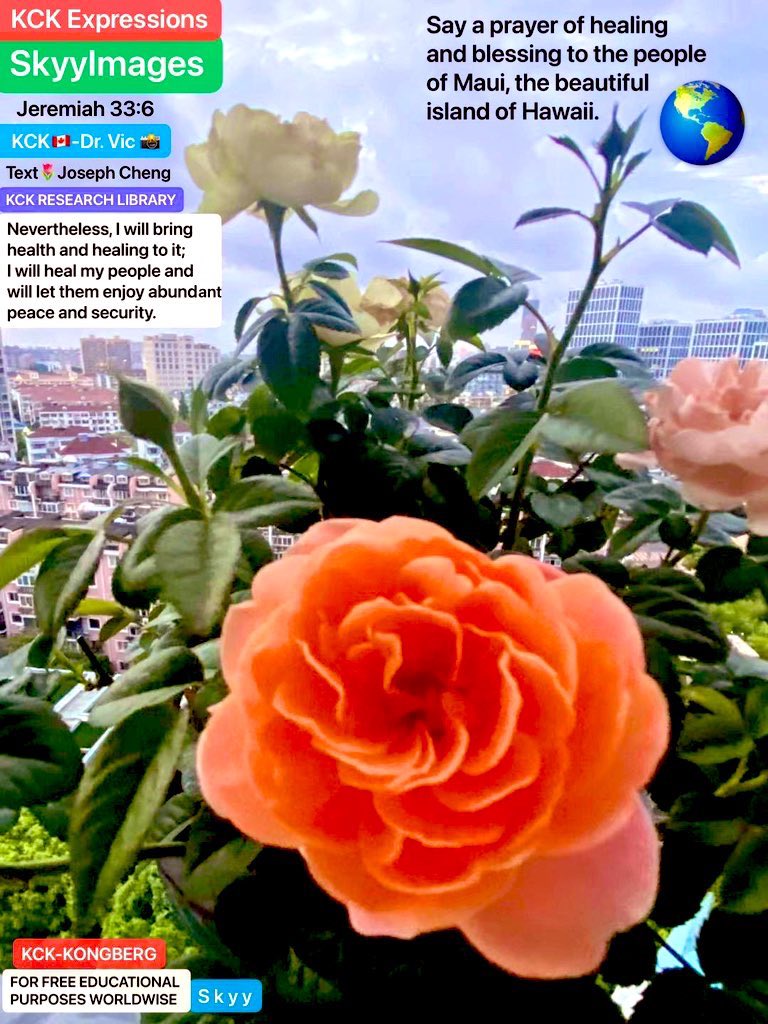 KckLibrary's tweet image. Brutally Honest Advice From Steve Jobs | BEST SPEECH Ever! (HQ Version) youtu.be/5Yhf0wBFtvY from @YouTube #KckLibrary 📚 #SkyyImages 🌷