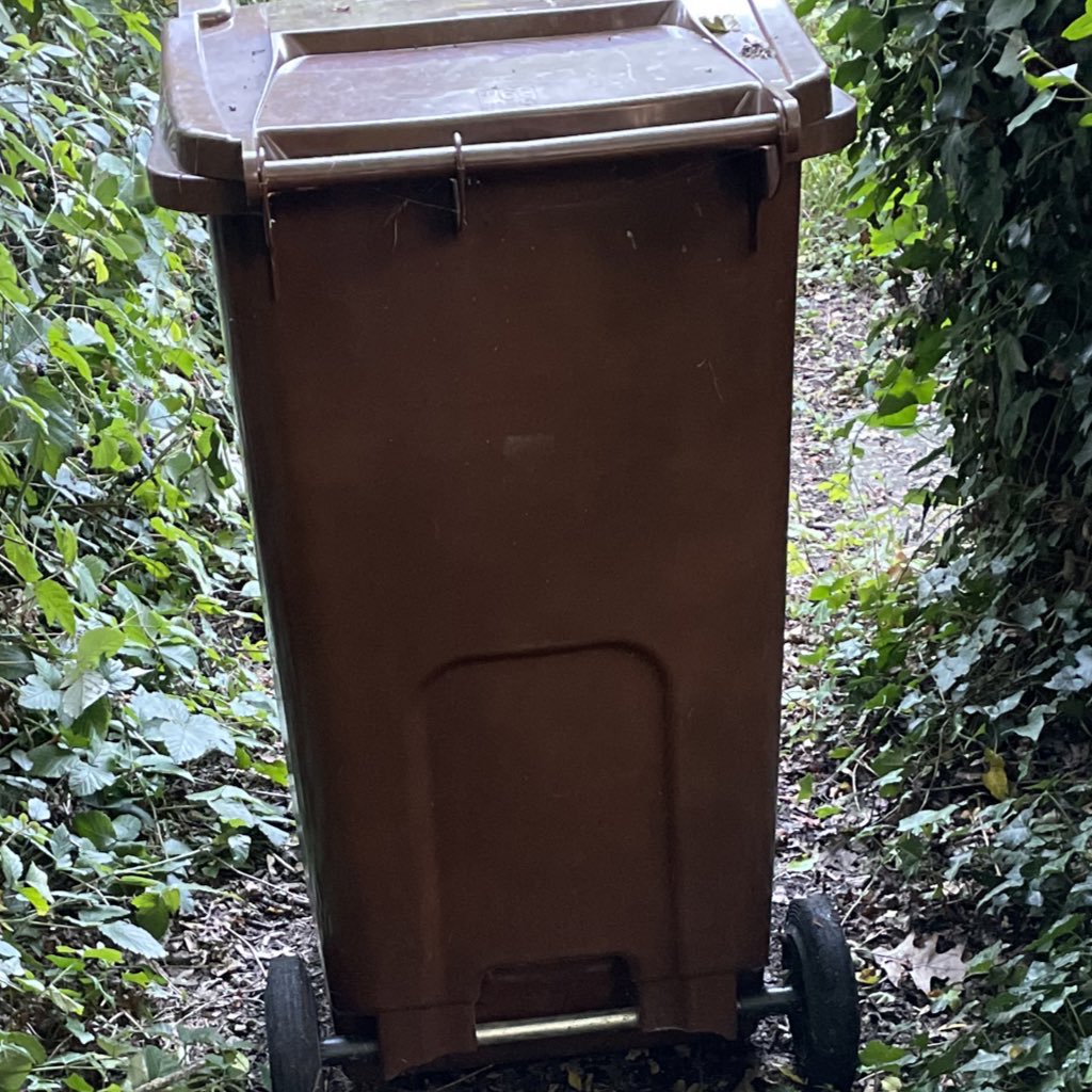 Captain_Farnham's tweet image. @WaverleyBC still not emptied…