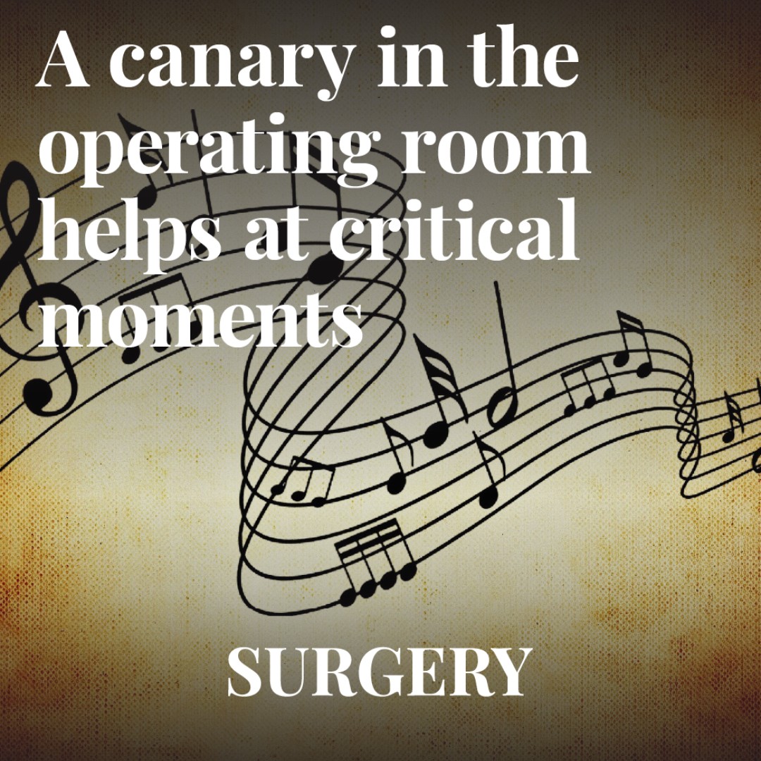 surgery_int's tweet photo. Developers have devised an innovative solution that manages music levels at critical moments during #surgicalprocedures. The team behind CanaryBox aimed to address the persistent challenges of noise pollution and distraction within #operatingrooms.🎵
https://t.co/ZLX3QZoiGi https://t.co/zVUjglOJeZ