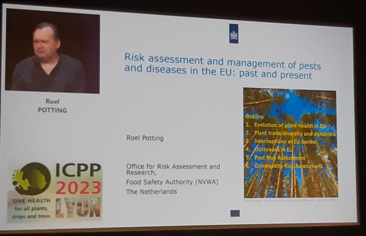 Frédéric Suffert (@wheatpath) on Twitter photo A great, comprehensive 👍 overview of risk assessment & management of plant pathogens in EU, by Roel Potting <a href="/_NVWA/">Nederlandse Voedsel- en Warenautoriteit</a> to understand "how plant health works"! #ICPP2023 A great, comprehensive 👍 overview of risk assessment & management of plant pathogens in EU, by Roel Potting <a href="/_NVWA/">Nederlandse Voedsel- en Warenautoriteit</a> to understand "how plant health works"! #ICPP2023