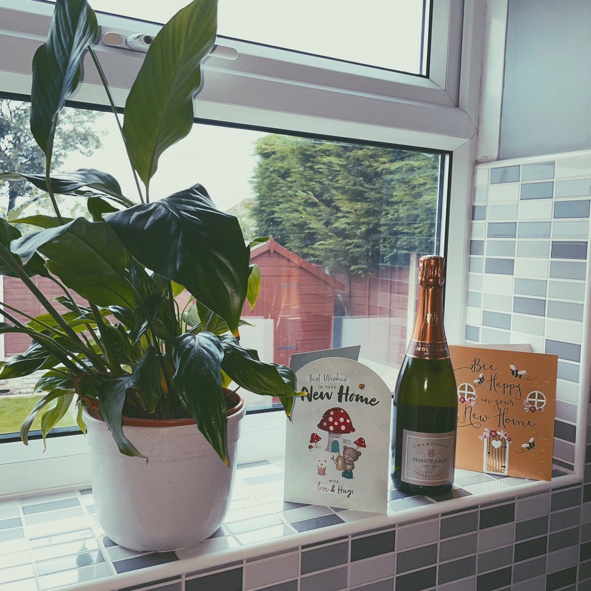 molllteaser's tweet photo. New adventures.. 🥰🏡 https://t.co/DpNTNQUjx4