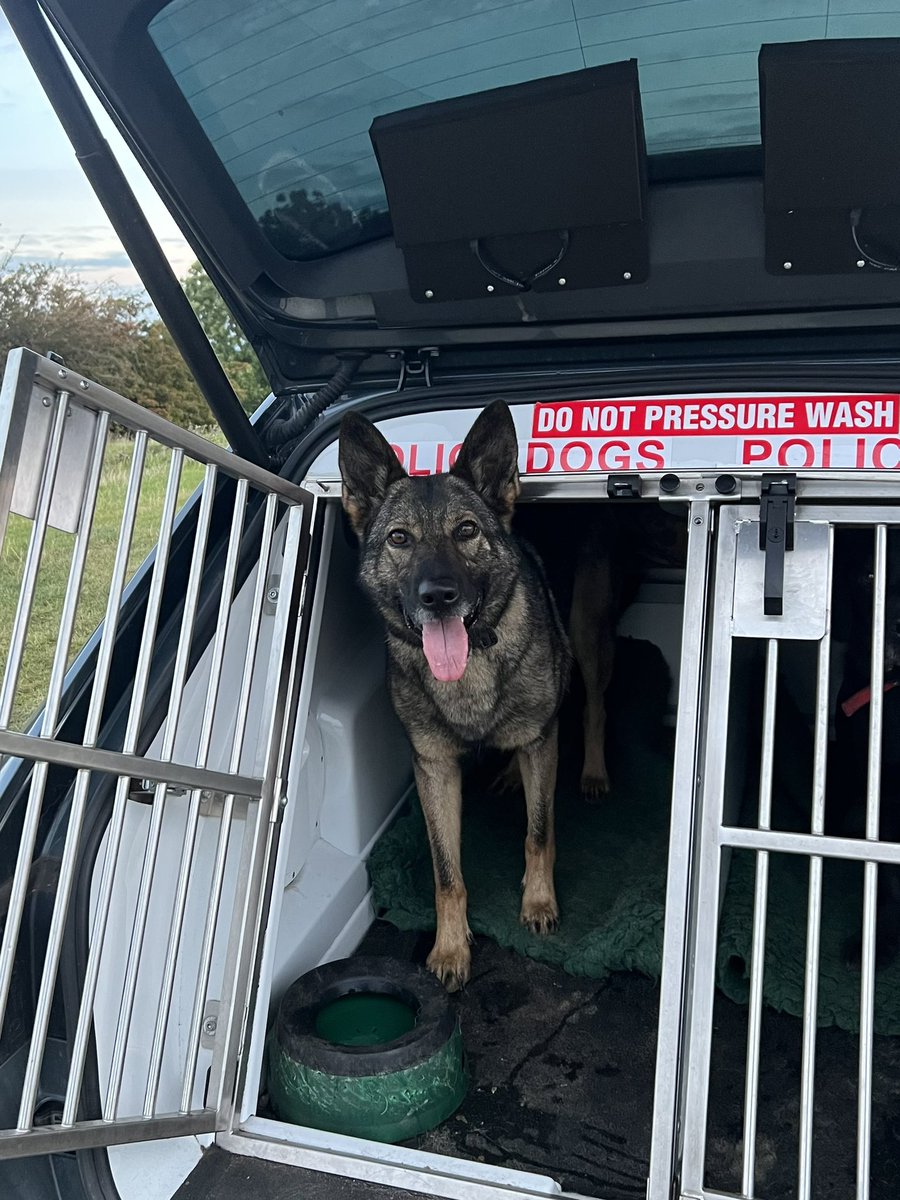 WarksPoliceDogs's tweet photo. A male in crisis had gone missing at some point overnight. Member of the public reported a sighting someone matching the description 30 mins earlier. PD Jinx was tasked from the sighting &amp; picked up a track before locating the male safely a time later #TheNoseThatKnows #Tracking https://t.co/7BVh07IgRw