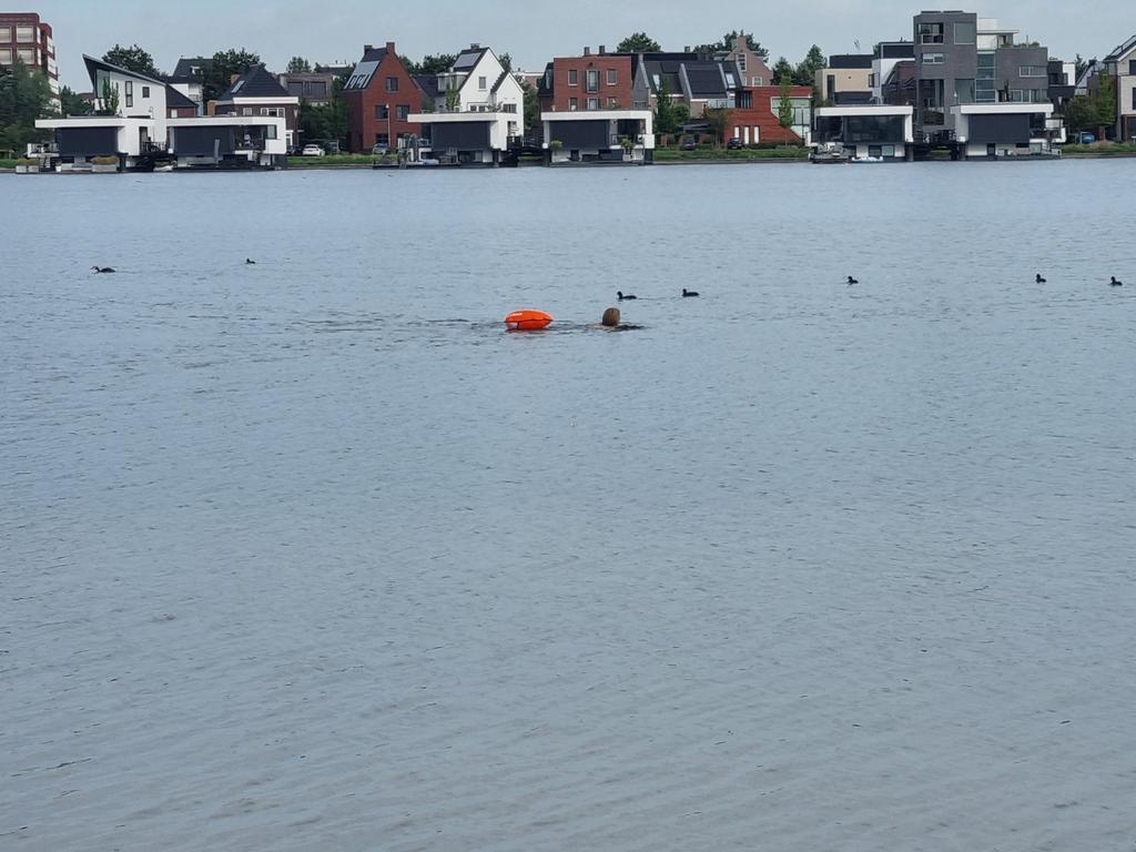 renzo7301's tweet photo. Mijn partner is aan het trainen voor de Amsterdam Cityswim tegen #ALS #teamlit #trots #Amsterdamcityswim https://t.co/ZtOycKN1DR