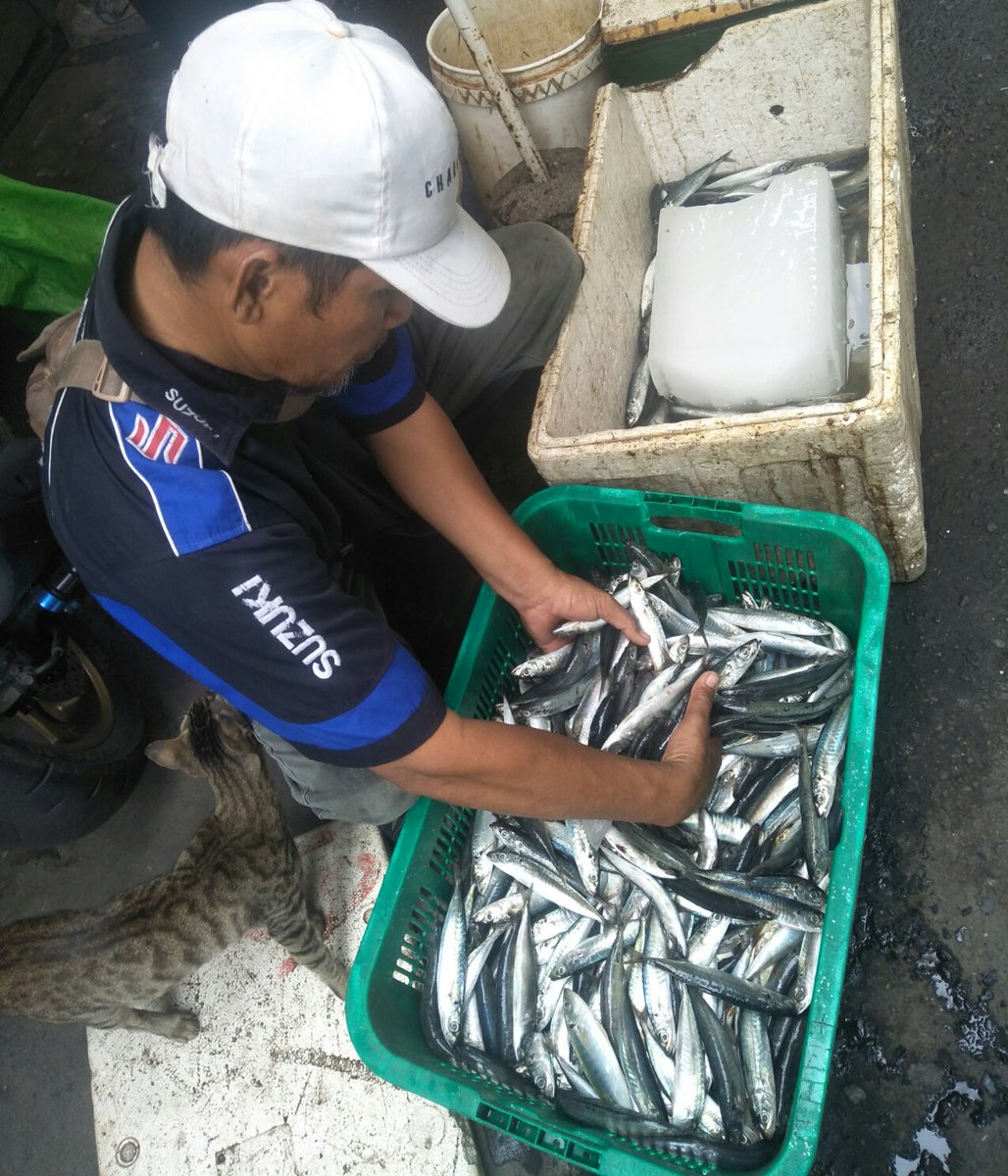 D74Darwis's tweet photo. Selasa. 22/08/23 Darwis Daeng Luhkan Halbar melaporkan hasil tangkapan ikan sorihi, kel motilo,a Desa Talaga sebanyak 300kg
#GiatLuhkanSatminkalAmbon
#Halbar
@BP3_Ambon https://t.co/ycMshdmSMb