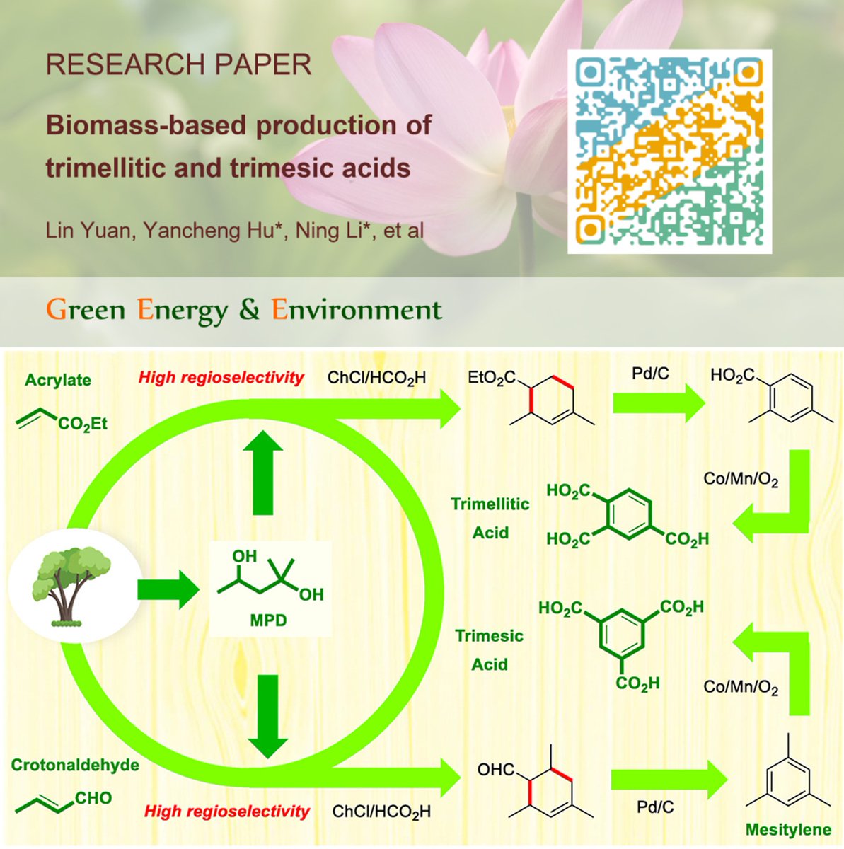 ✨#GEE #research ✨

Biomass-based production of trimellitic and trimesic #acids

✉️Yancheng Hu（China University of Mining and Technology）, Feng Wang & Ning Li @dicp_cas 

doi.org/10.1016/j.gee.…
#Biomass