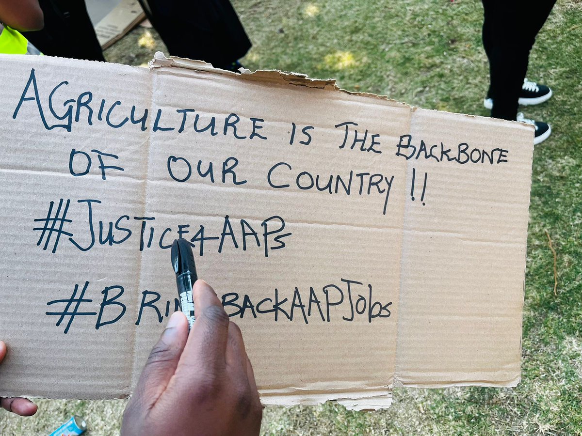 Kagisho29's tweet photo. Agricultural graduates who's contract have been terminated are embarking on a March to @DALRRDgov_ZA @PresidencyZA in Pretoria
#BringBackAAPsJobs #BRICSSummit2023 https://t.co/Kh7U01RiII