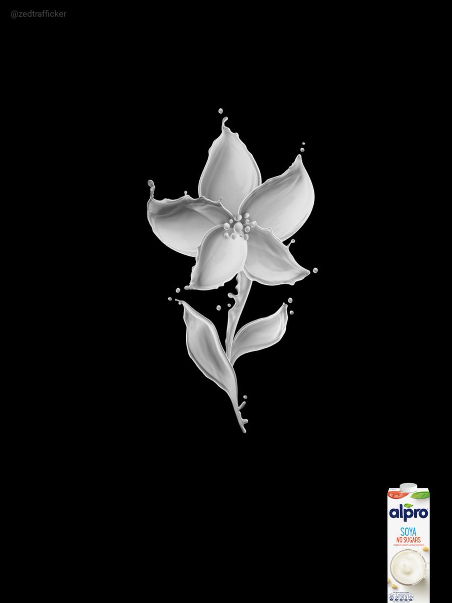 Zed Anwar⏱️ tweet media