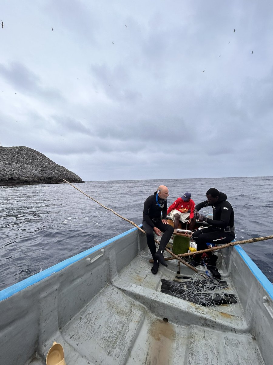 We keep looking for the spotty giants in Principe island.
This picture is from Tinhosas, 2 small islands where the activity was over the roof: thousands of seabirds, great abundance of fish and plenty of whales.
Bisa is our captain and guide on this adventure 🇸🇹🦈