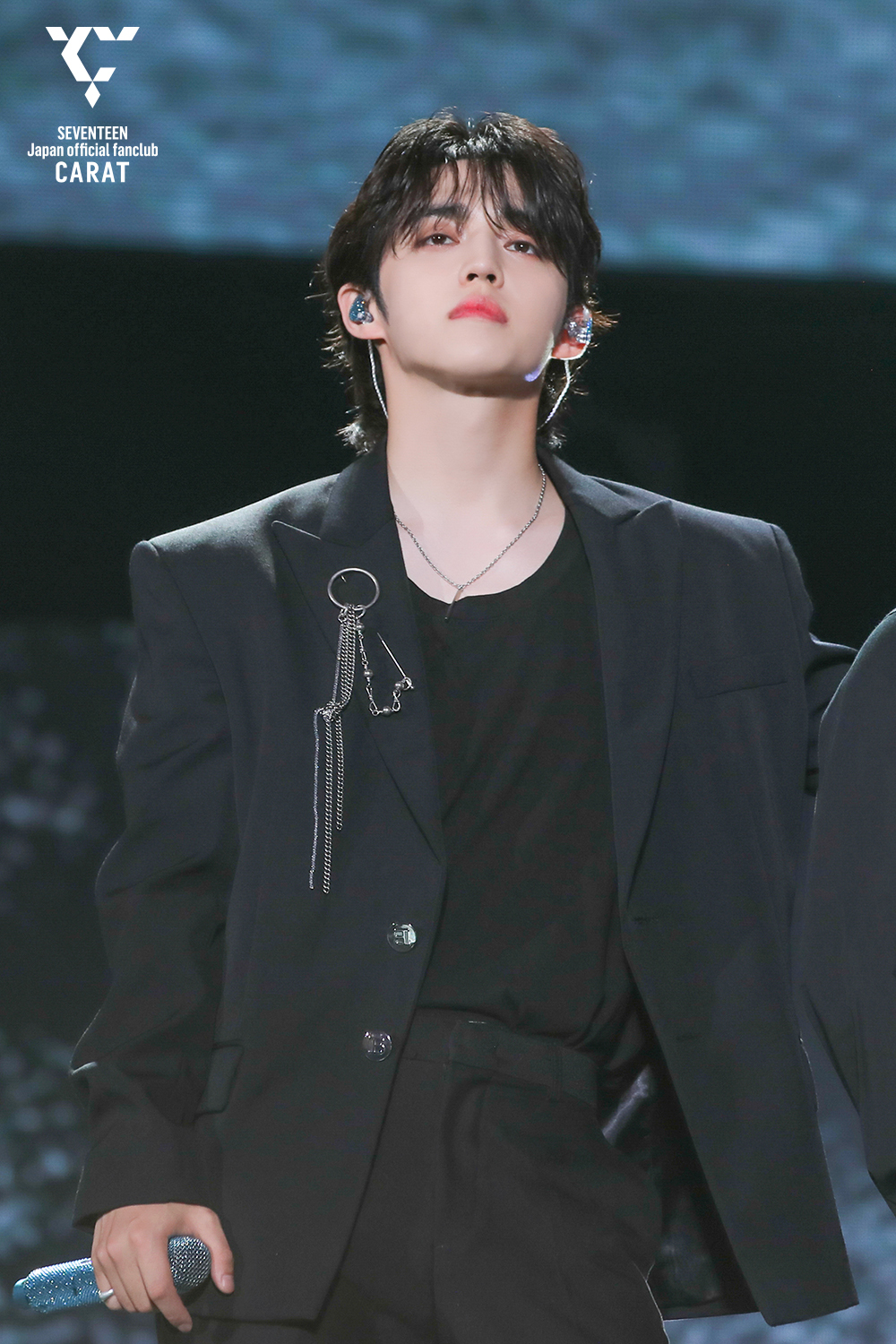 SEVENTEEN Japan CARAT エスクプス SEVENTEEN S.COUPS FOLLOW TO SEOUL CONCERT 2023 CARAT ZONE