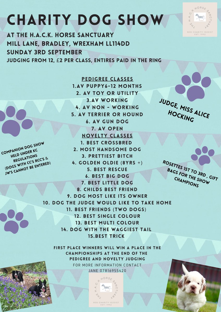 H.A.C.K. Horse Sanctuary tweet media