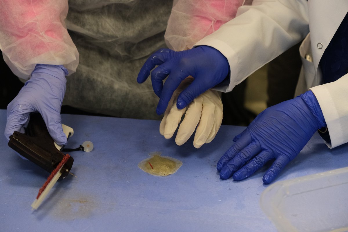 🗓️#SOFAS2023 will be held on 24-26 October in Trabzon, 🇹🇷

🎓If you are an #aquaculture expert or young researcher do not miss out on the opportunity to showcase your work

🚀Participate in the symposium and submit an article or poster here 
👇
cmt3.research.microsoft.com/SOFAS2023/