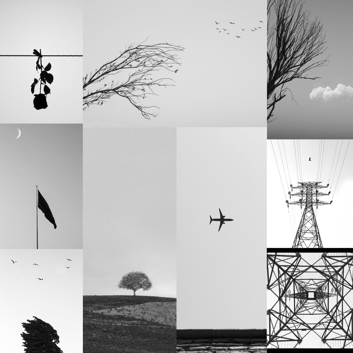 𝐀𝐋𝐈 | 𝐍𝐅𝐓 𝐏𝐇𝐎𝐓𝐎𝐆𝐑𝐀𝐏𝐇𝐄𝐑 tweet media