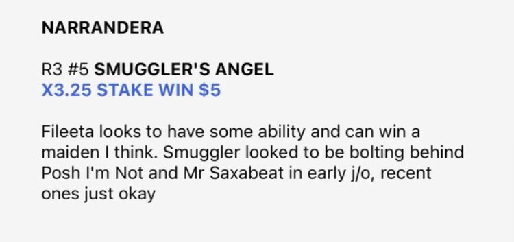 Ben's 🐎Racing Tips tweet media