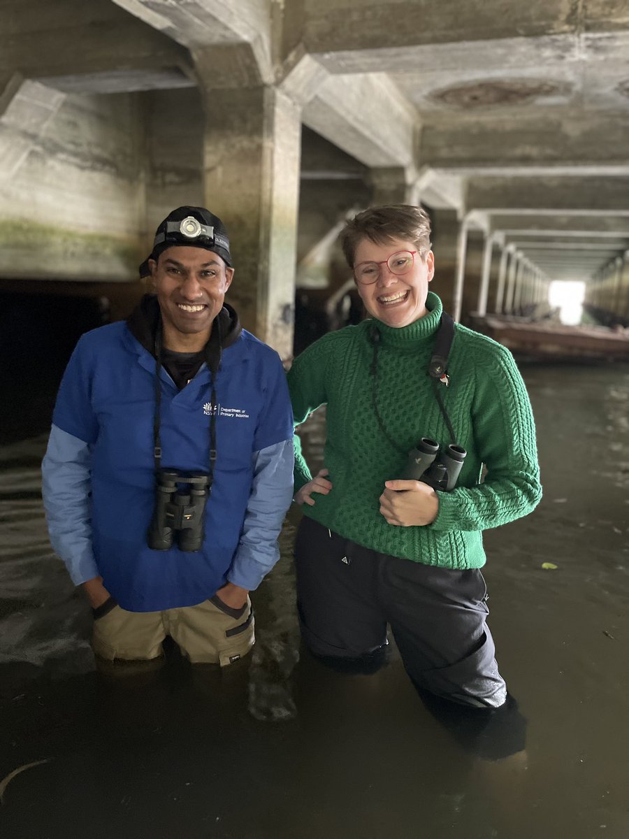 Ann Jones tweet media