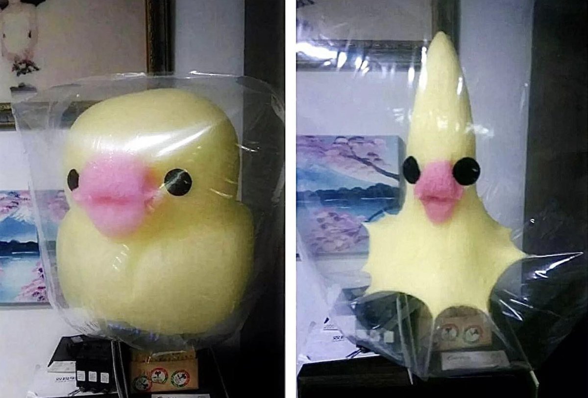 TBM_ArtStudio's tweet photo. The bought duck-shaped cotton candy is so cute! I couldn't bear to eat it. But the next day, when I looked at it, I was surprised and burst into laughter. ππ
#LOL #ROFL #FunPics #HaveALaugh https://t.co/EIKy4Xiby2