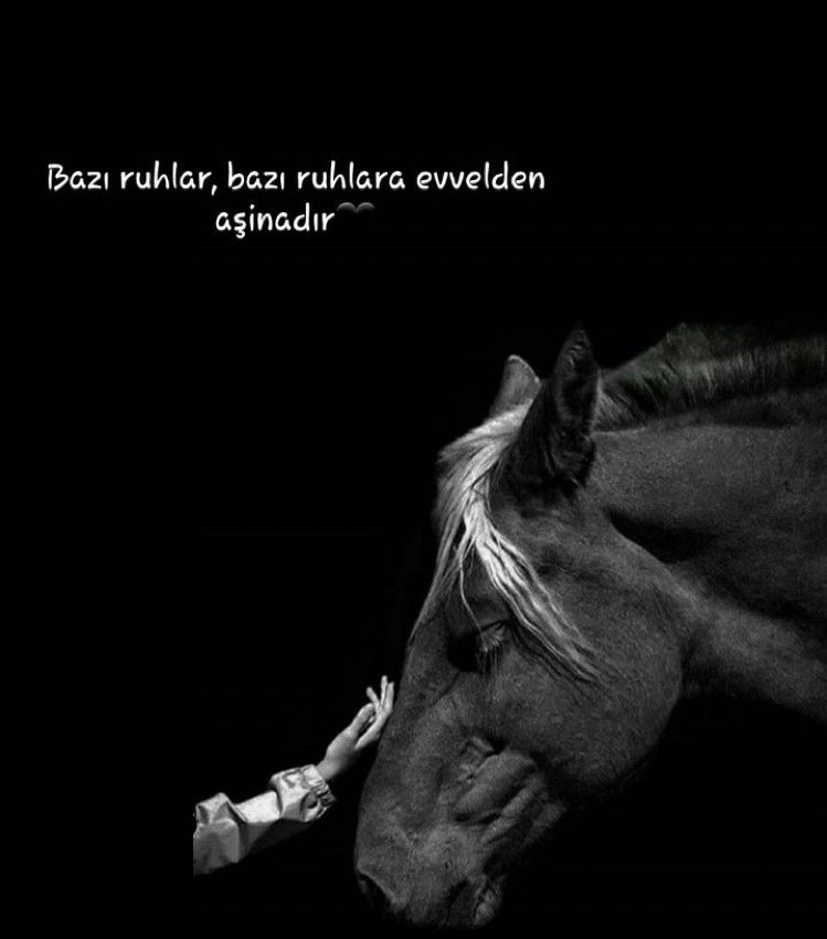glsn_sysl's tweet photo. Güüüüünayyyyydınnnn♥️❤️ https://t.co/fGCJzQ87Yc