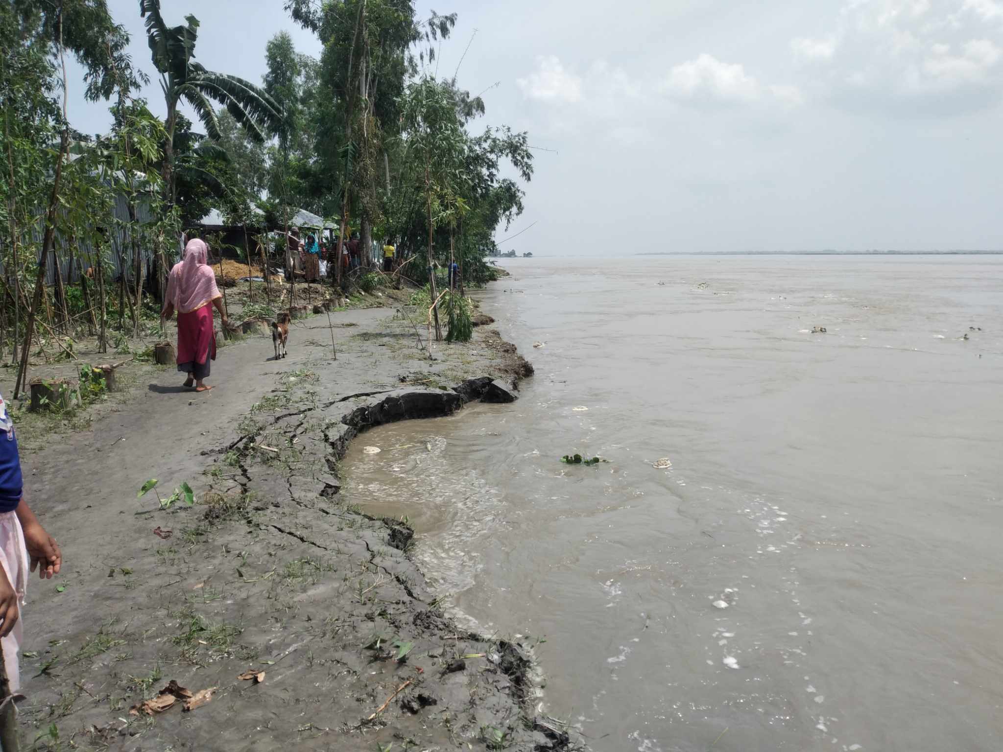 বন্যার পর এবার তীব্র নদী ভাঙ্গন, এ যেন মরার উপর খরার ঘাঁ
