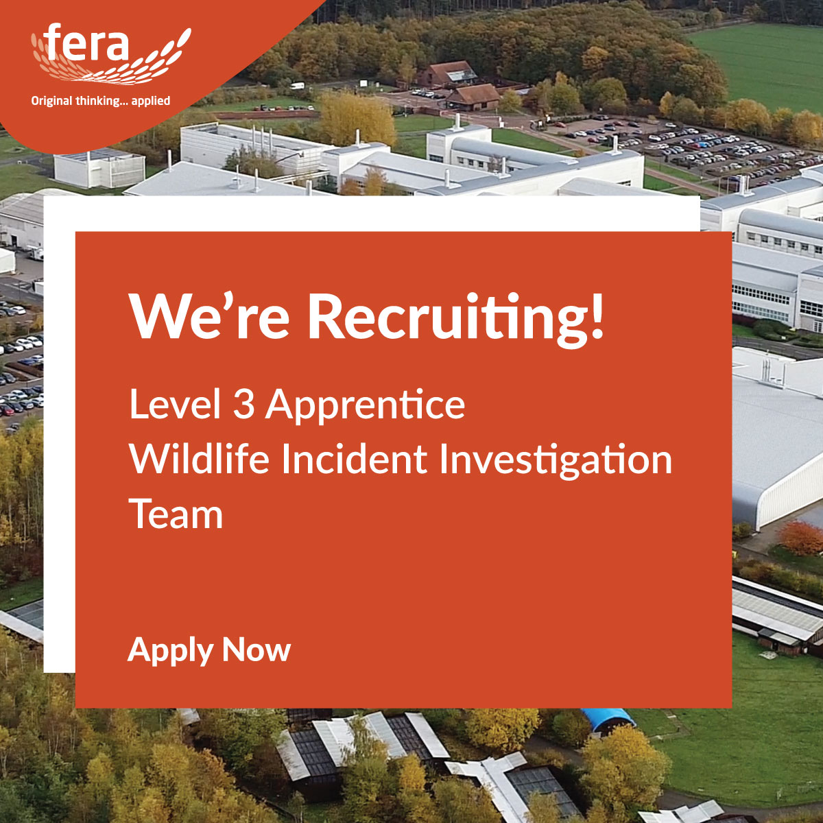 FeraScience's tweet image. Fera is looking for the next Level 3 Apprentice in the Wildlife Incident Investigation Team

The position is mainly an analytical chemistry role, with some biology and wildlife forensics, to monitor the effect of chemicals on wildlife. 🌱

Find out more &amp;gt; hubs.ly/Q01_NjHx0