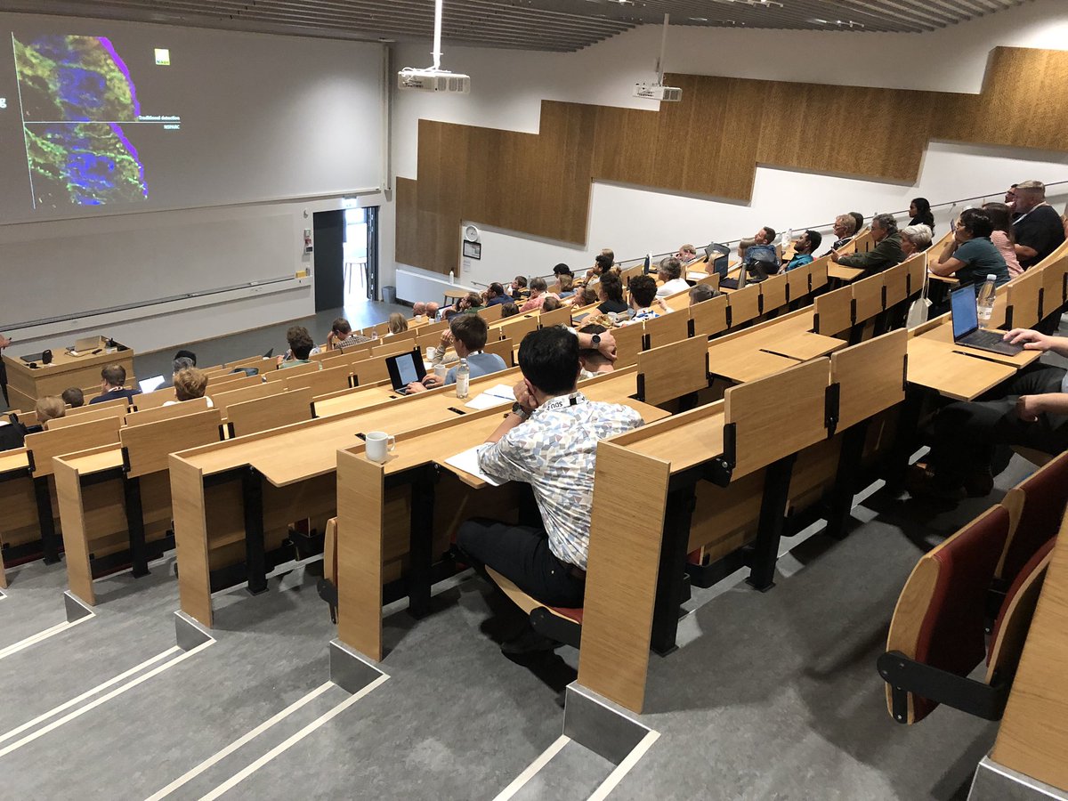 Julia Fernandez tweet media