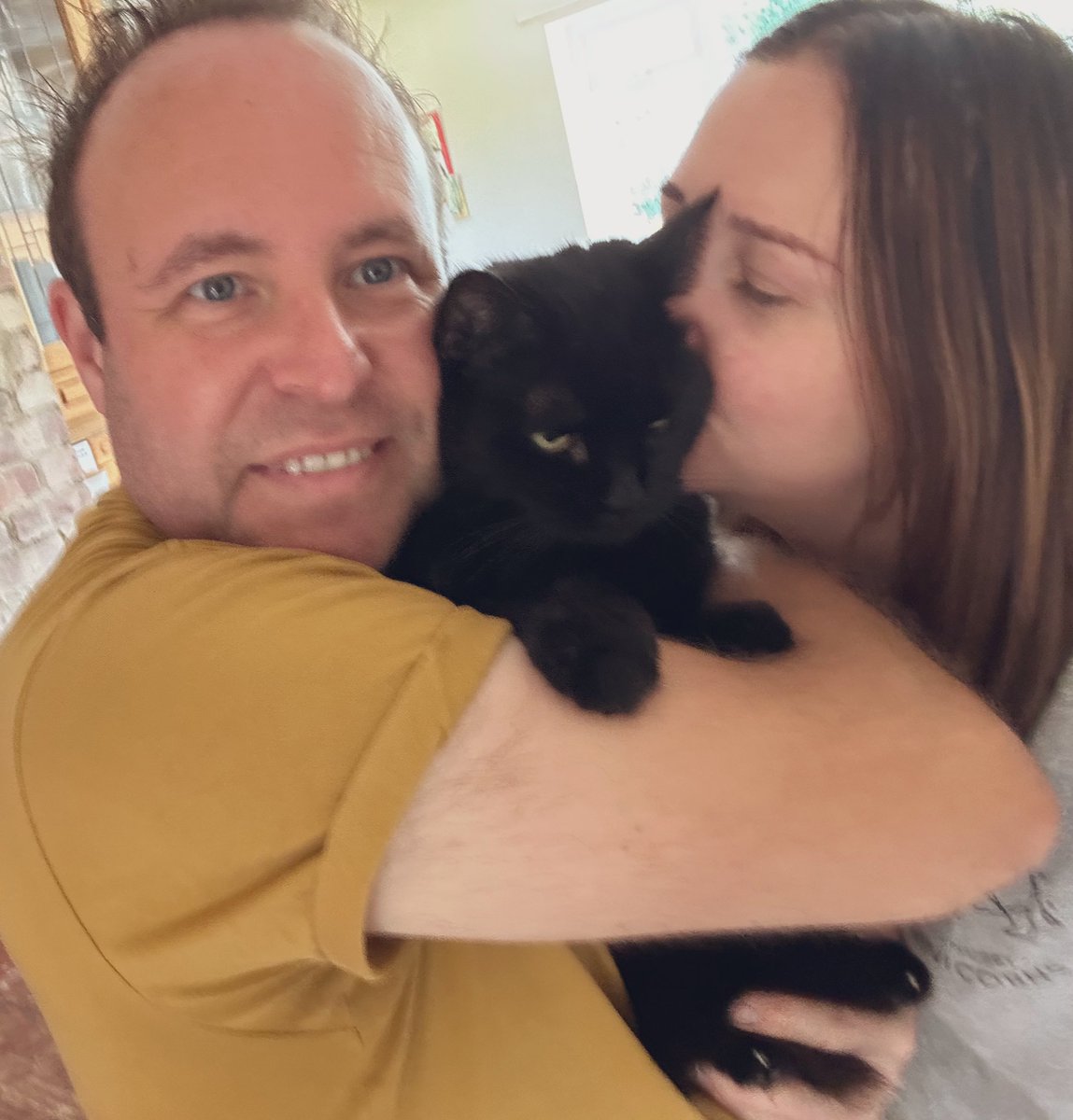 TheCatBabies's tweet photo. Dog: Today I am 15!! To say I am adored would be an understatement. Mum &amp; Dad say I am the love of their lives and that they are so proud to be my Mummy &amp; Daddy. #birthdaygirl https://t.co/AIDu7IAR9i