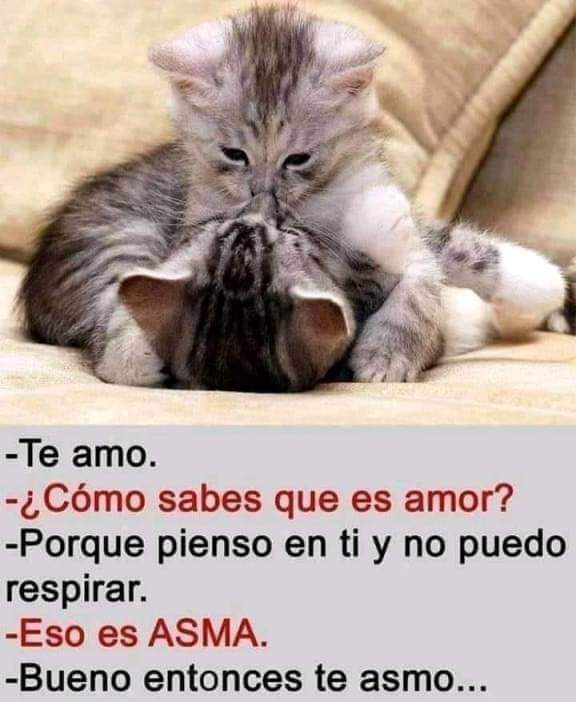 Ana Show (@anashowmty) on Twitter photo 