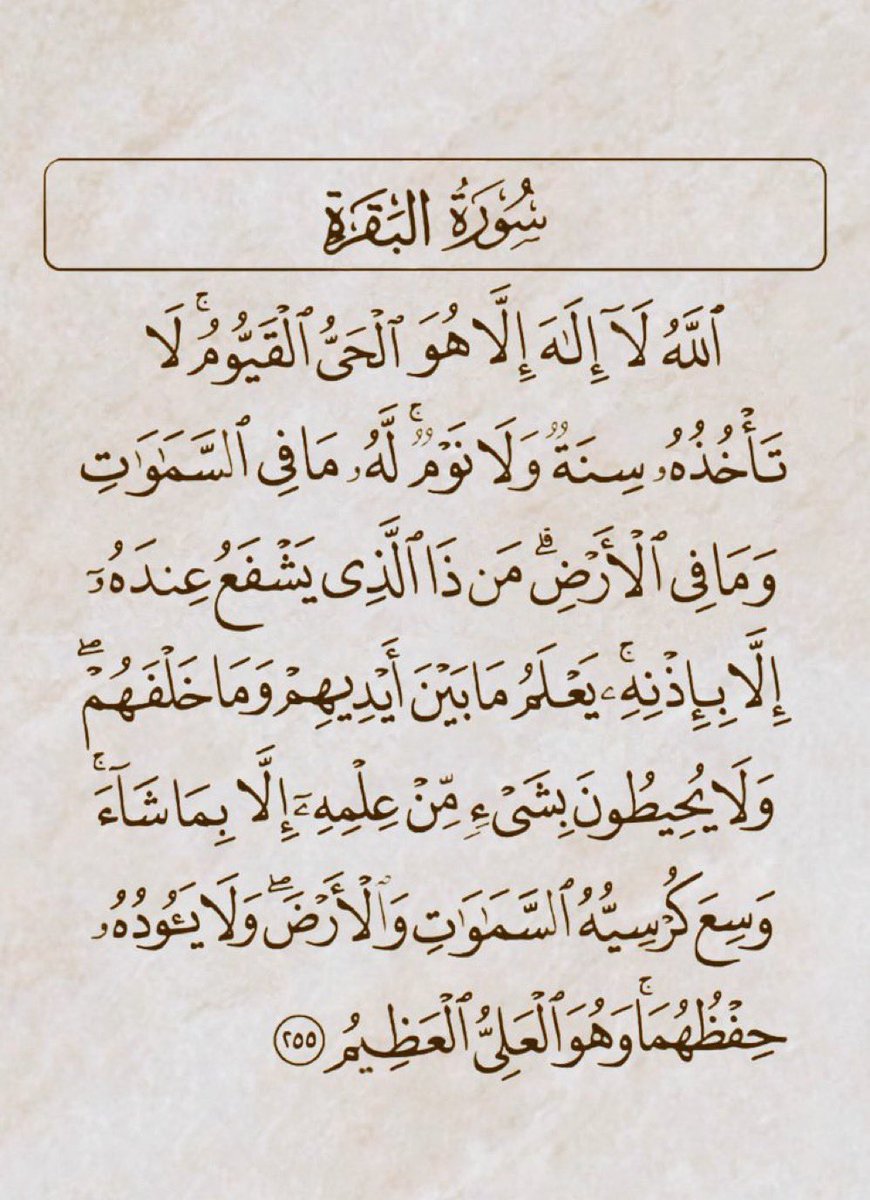 Is87u's tweet image. 🤍🤍